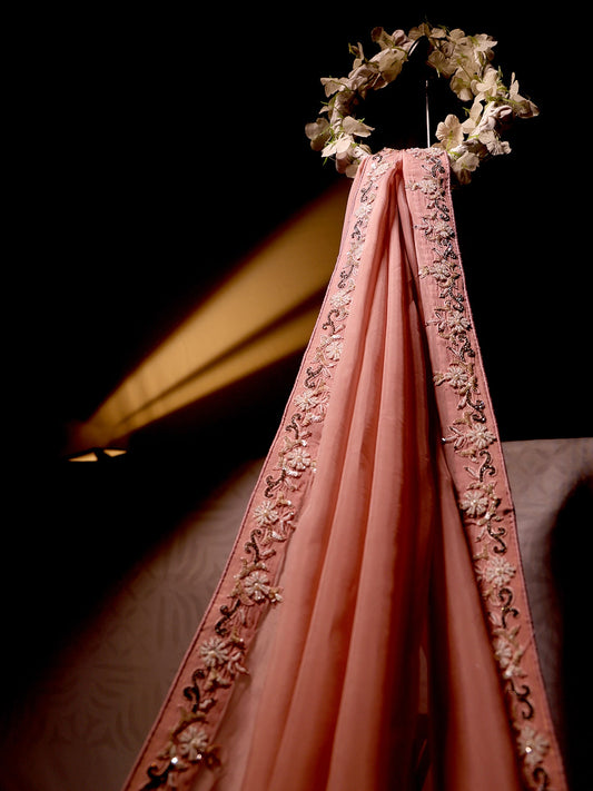 सेमी ऑर्गेंजा ज़रदोज़ी साड़ी - डार्क अनियन